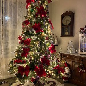 Meet your Posher, Janis